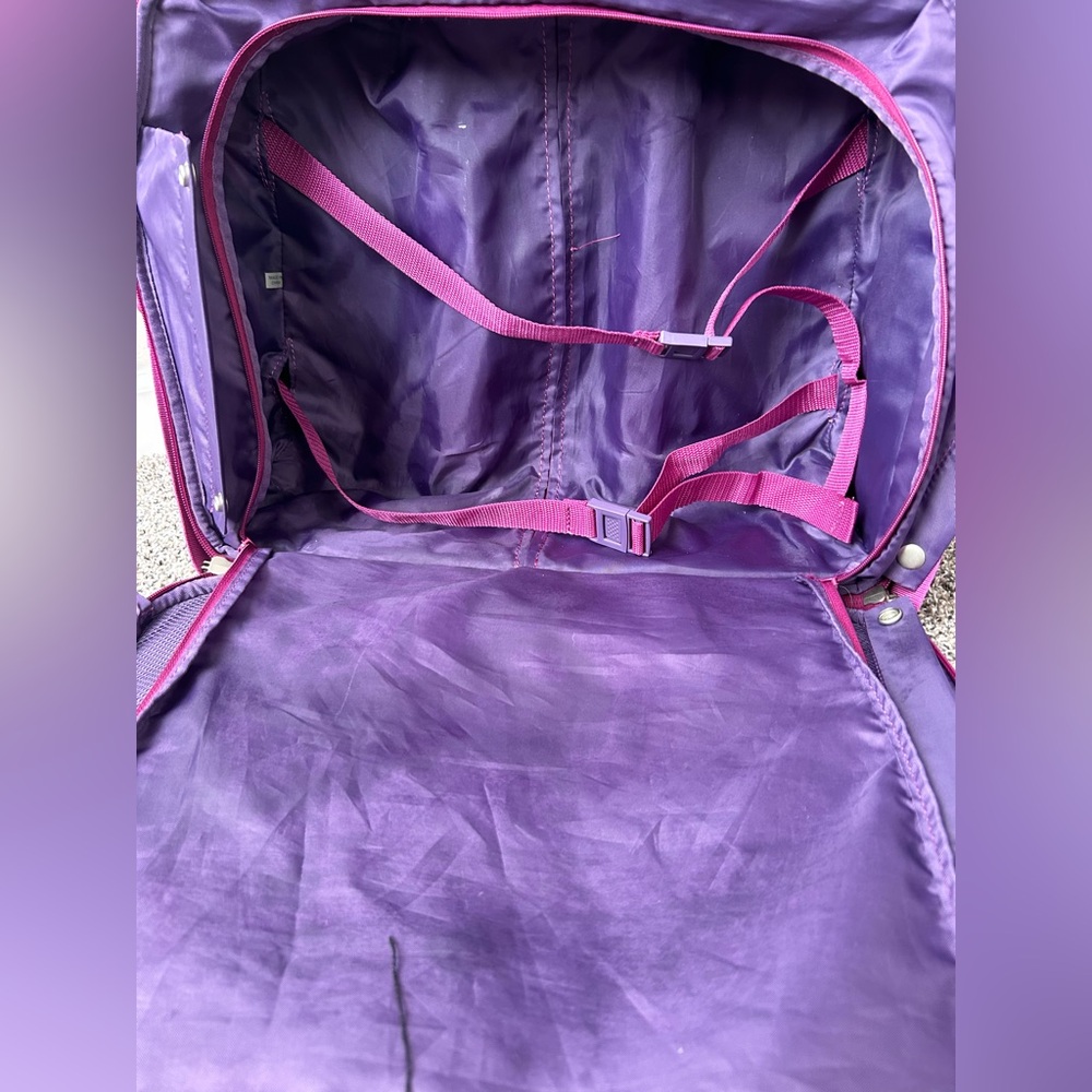 Delsey Paris Magenta Rolling Carry-on and Briefcase - Picture 8 of 10